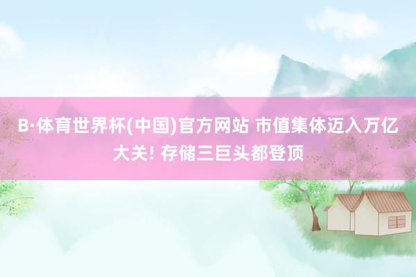 B·体育世界杯(中国)官方网站 市值集体迈入万亿大关! 存储三巨头都登顶