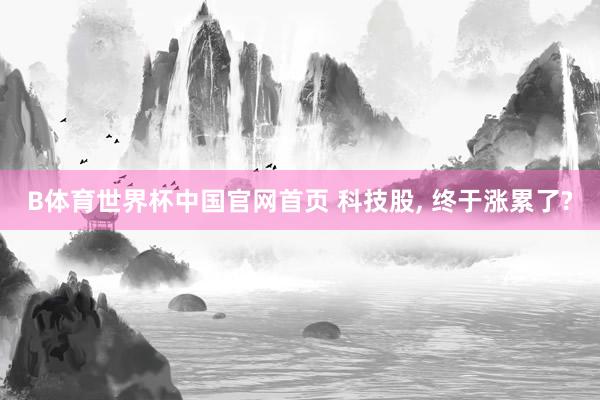 B体育世界杯中国官网首页 科技股, 终于涨累了?