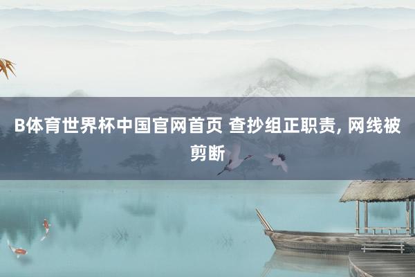 B体育世界杯中国官网首页 查抄组正职责, 网线被剪断