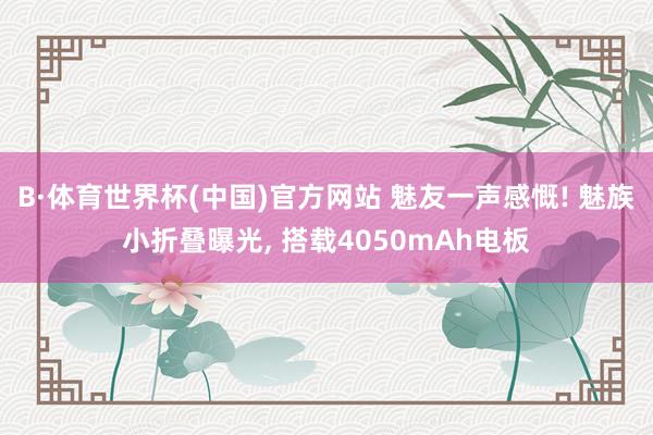 B·体育世界杯(中国)官方网站 魅友一声感慨! 魅族小折叠曝光, 搭载4050mAh电板