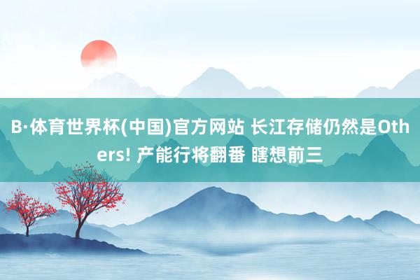 B·体育世界杯(中国)官方网站 长江存储仍然是Others! 产能行将翻番 瞎想前三