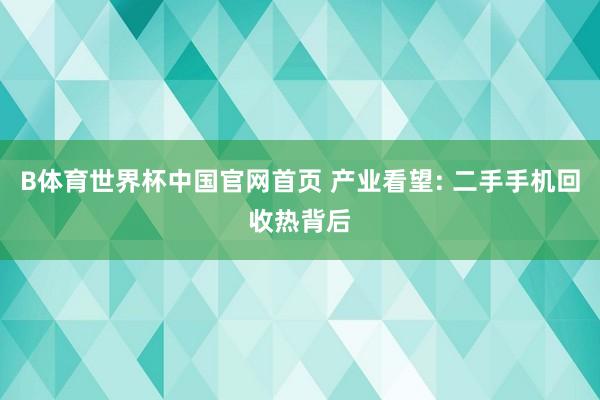 B体育世界杯中国官网首页 产业看望: 二手手机回收热背后