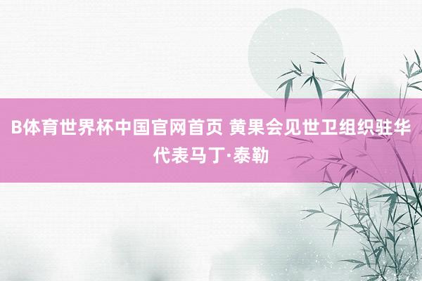 B体育世界杯中国官网首页 黄果会见世卫组织驻华代表马丁·泰勒