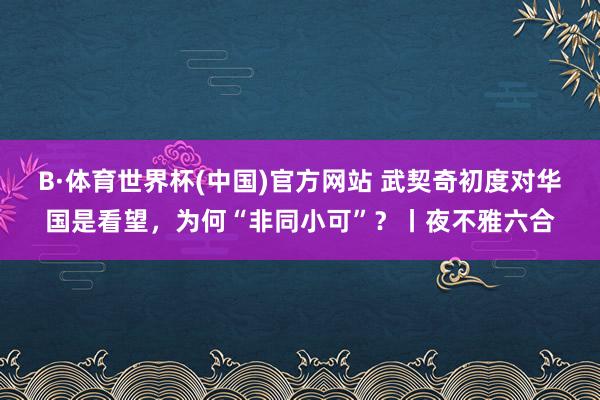 B·体育世界杯(中国)官方网站 武契奇初度对华国是看望，为何“非同小可”？丨夜不雅六合