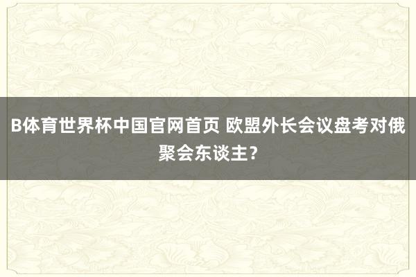 B体育世界杯中国官网首页 欧盟外长会议盘考对俄聚会东谈主？