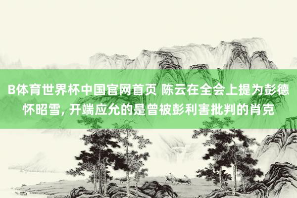 B体育世界杯中国官网首页 陈云在全会上提为彭德怀昭雪, 开端应允的是曾被彭利害批判的肖克