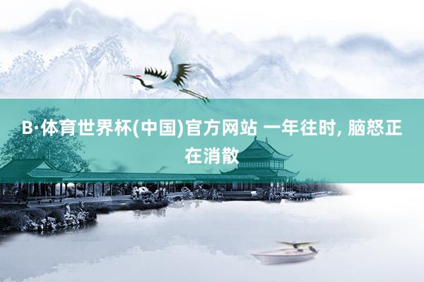 B·体育世界杯(中国)官方网站 一年往时, 脑怒正在消散