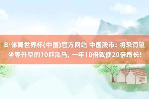 B·体育世界杯(中国)官方网站 中国股市: 将来有望坐等升空的10匹黑马, 一年10倍致使20倍增长!