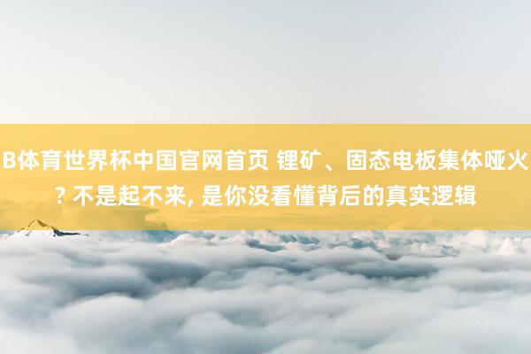 B体育世界杯中国官网首页 锂矿、固态电板集体哑火? 不是起不来, 是你没看懂背后的真实逻辑