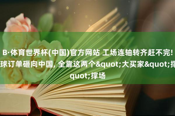 B·体育世界杯(中国)官方网站 工场连轴转齐赶不完! 全球订单砸向中国, 全靠这两个"大买家"撑场