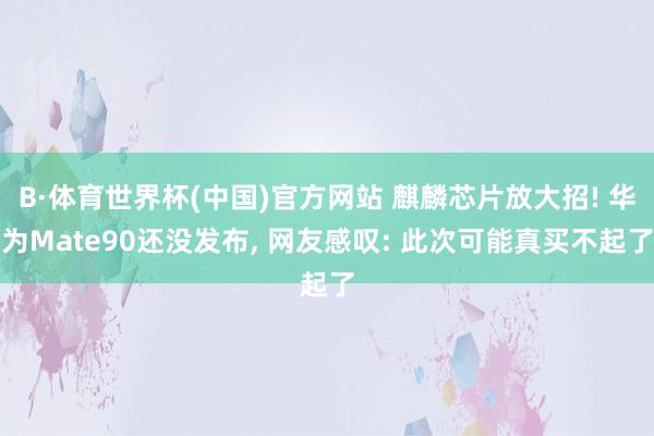 B·体育世界杯(中国)官方网站 麒麟芯片放大招! 华为Mate90还没发布, 网友感叹: 此次可能真买不起了