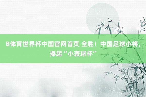 B体育世界杯中国官网首页 全胜！中国足球小将，捧起“小寰球杯”