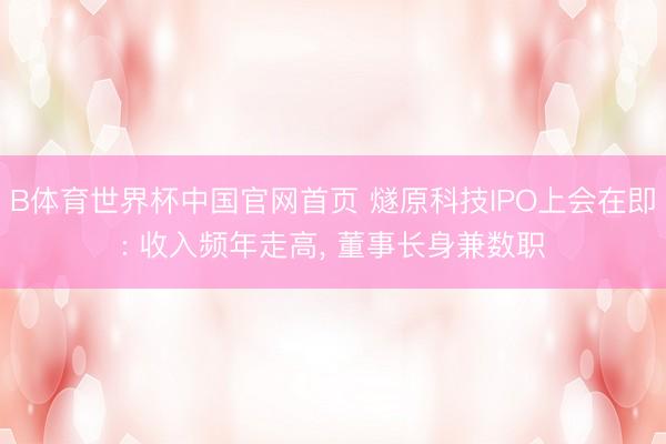 B体育世界杯中国官网首页 燧原科技IPO上会在即: 收入频年走高， 董事长身兼数职