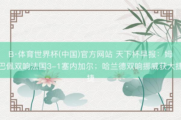 B·体育世界杯(中国)官方网站 天下杯早报：姆巴佩双响法国3-1塞内加尔；哈兰德双响挪威获大捷