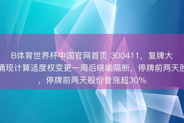 B体育世界杯中国官网首页 300411,复牌大跌18%!公司涌现计算适度权变更一周后晓喻隔断,停牌前两天股价曾涨超30%